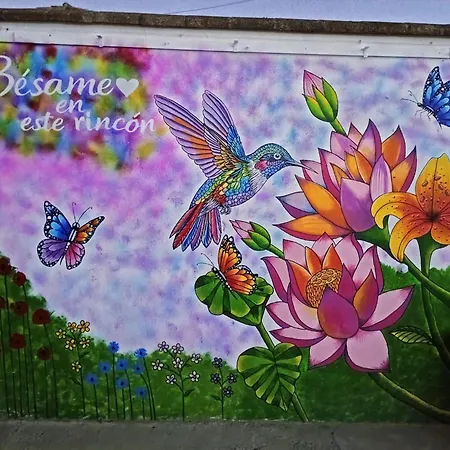 Апартаменты El Desafio Кониль-де-ла-Фронтера